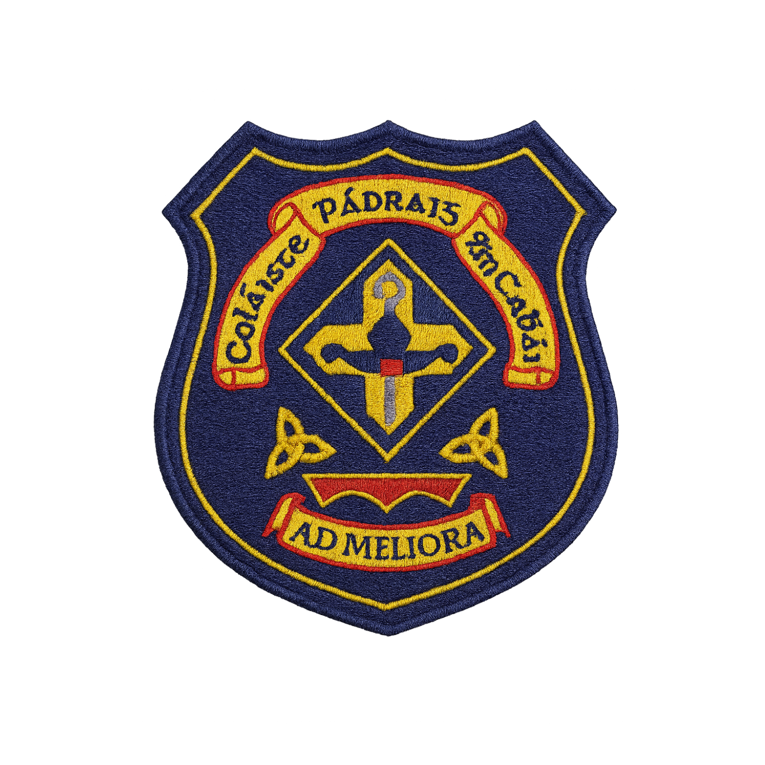 St. Patrick's College - Cavan