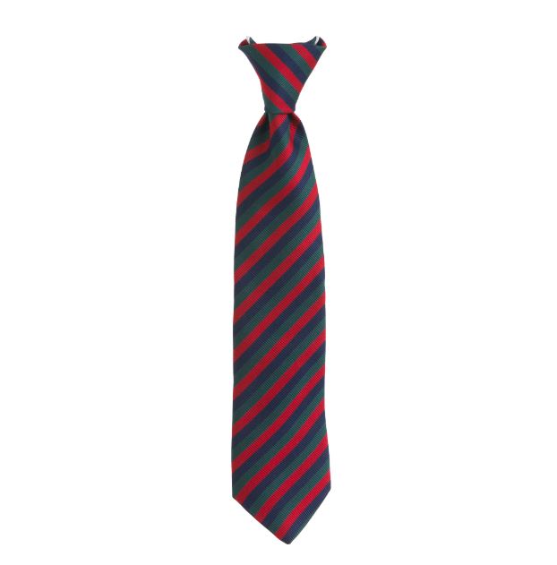 Gaelscoil An Chuilinn Tie