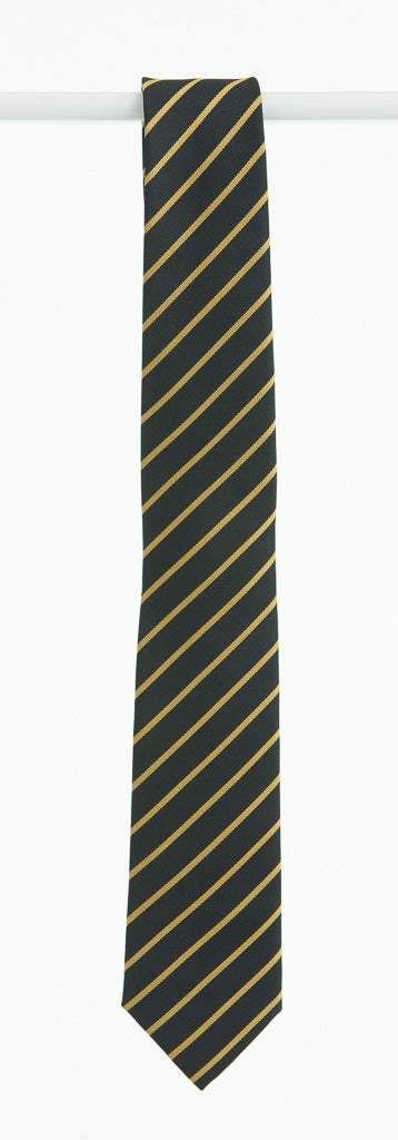 Blakestown Community School Senior Tie