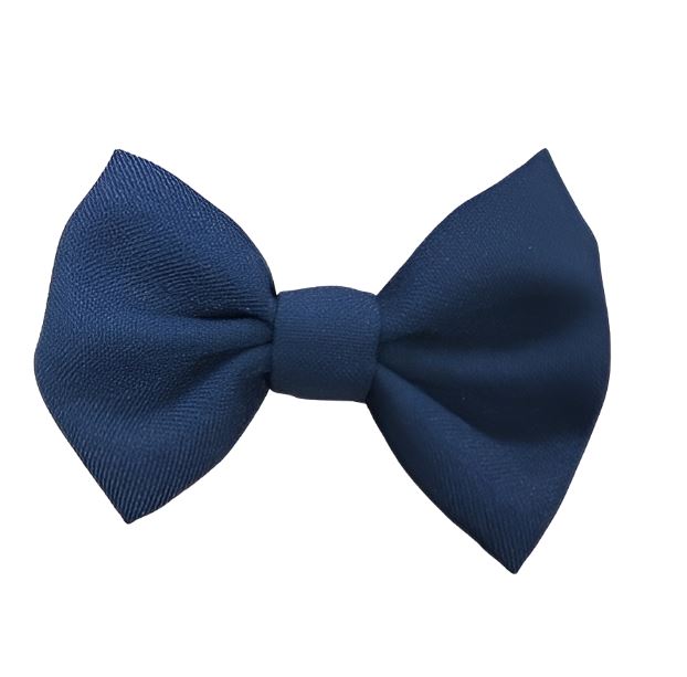 Christ the King NS Dickie Bow