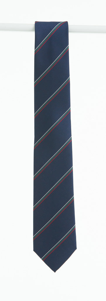 Pobailscoil Palmerstown Tie