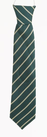 St. Patrick’s Diswellstown Tie