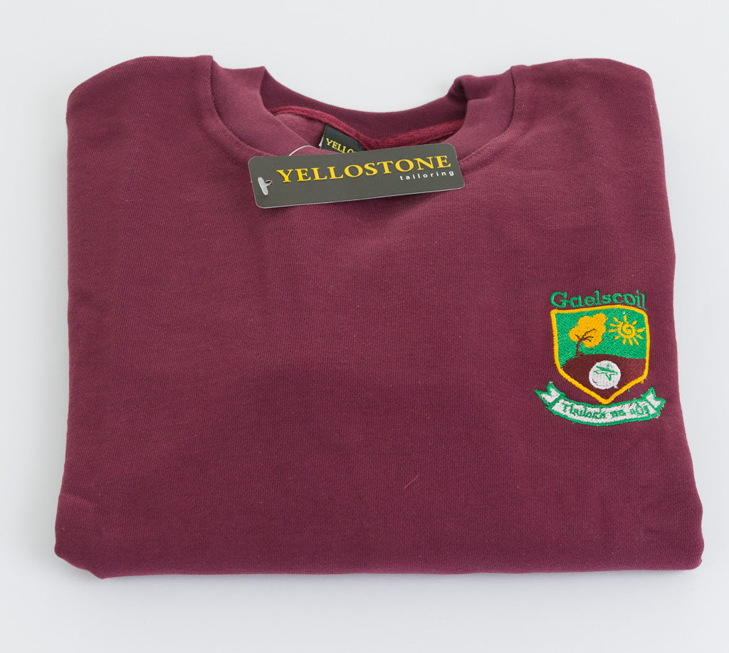 Thulach na nOg Dunboyne Tracksuit Top