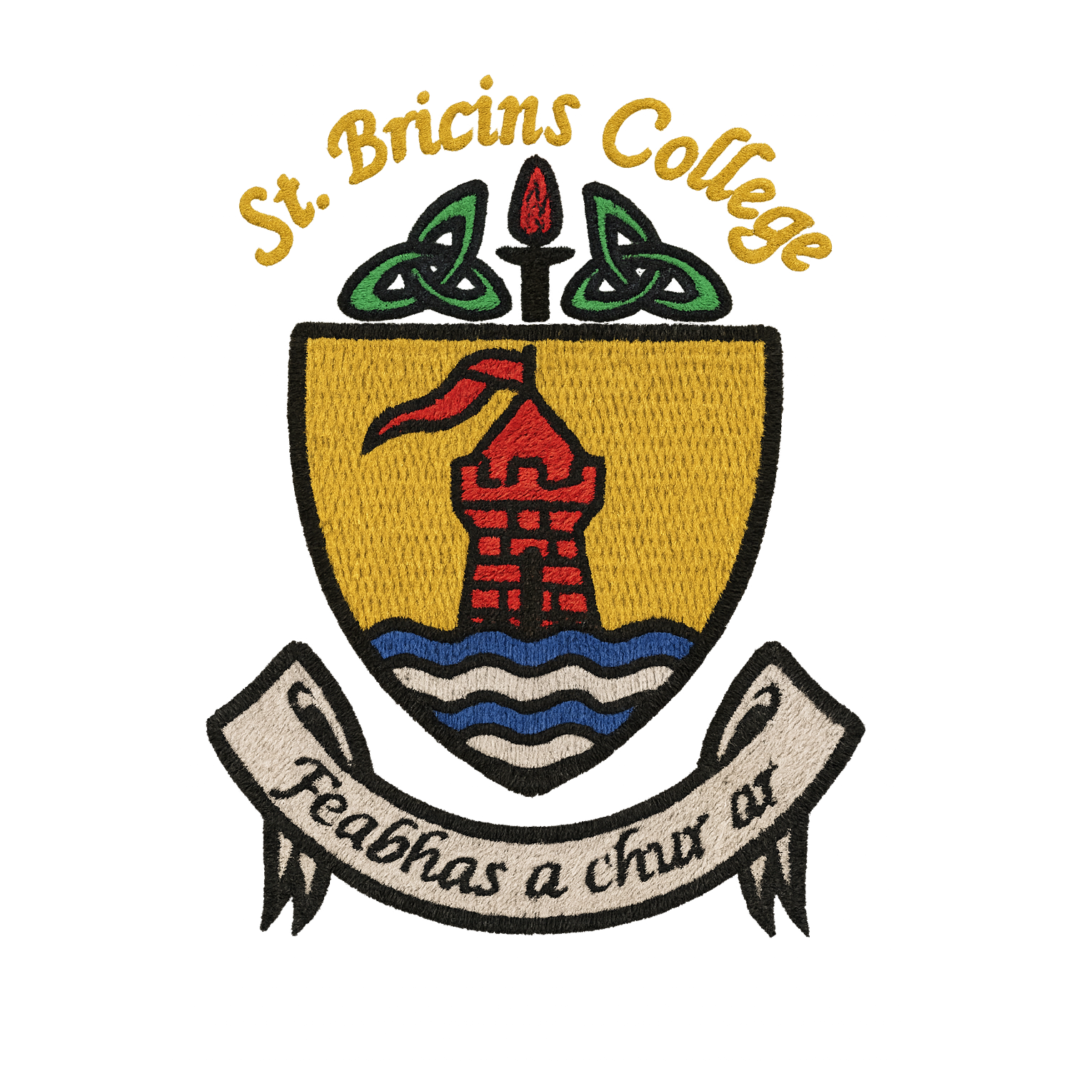 St. Bricin's College - Belturbet Cavan