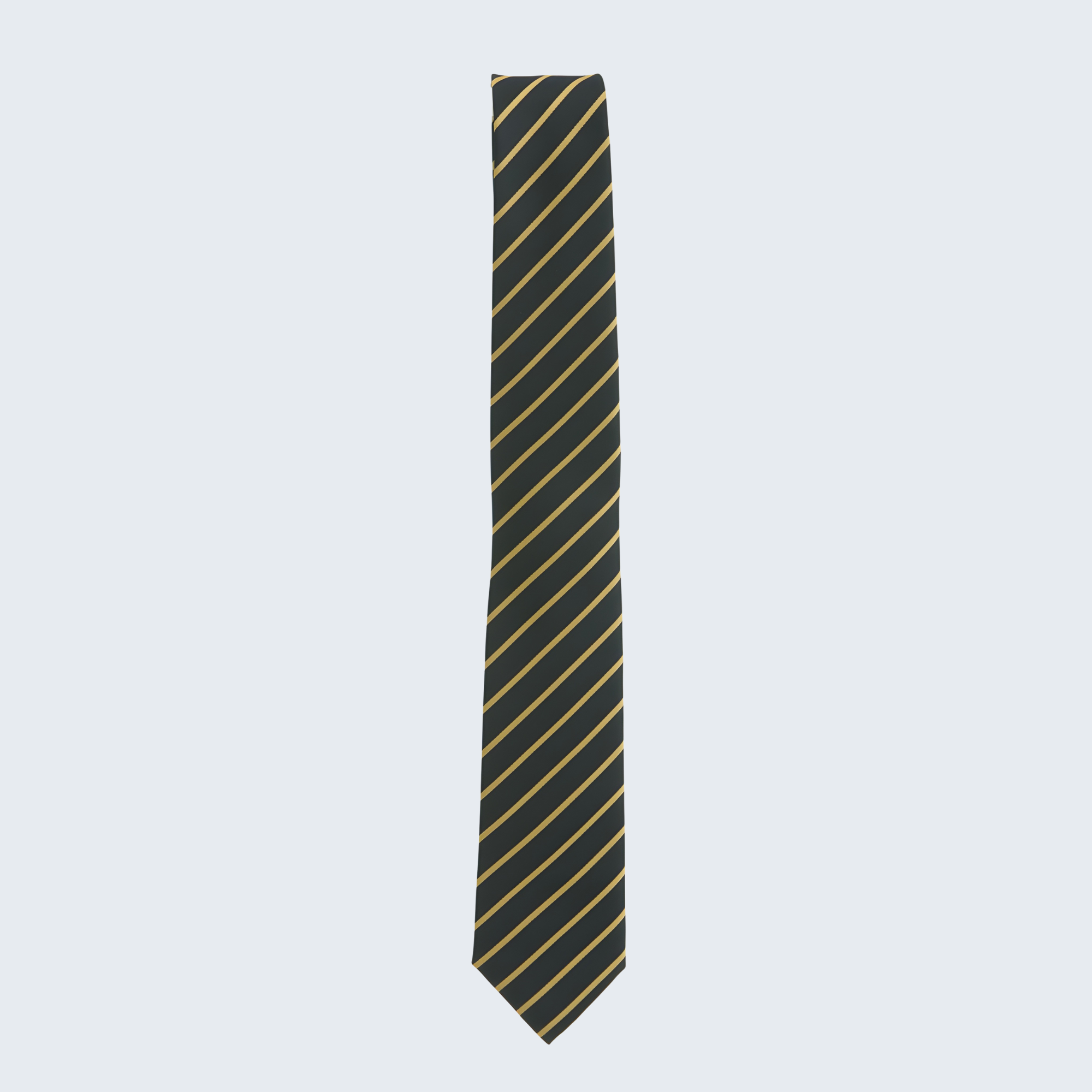 Blakestown Community School Senior Tie